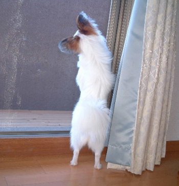 ���������I�I